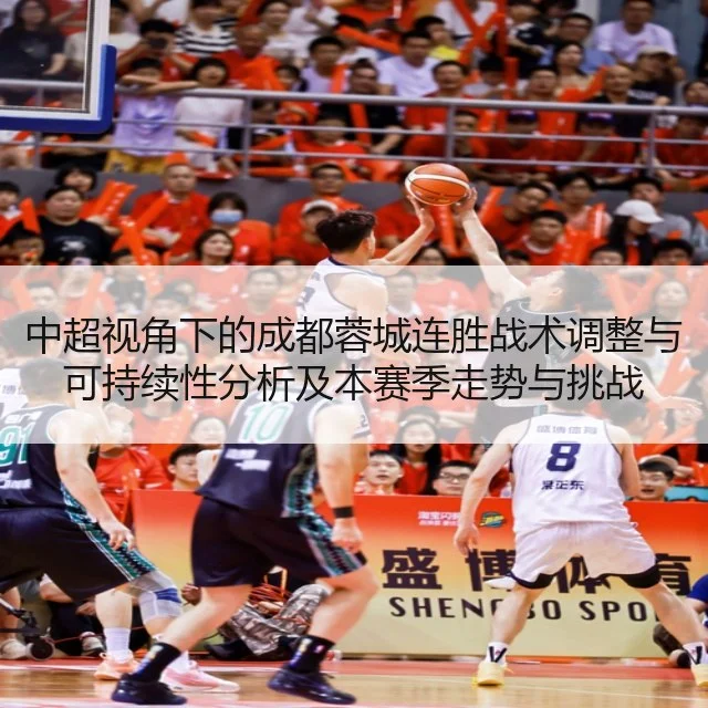 中超视角下的成都蓉城连胜战术调整与可持续性分析及本赛季走势与挑战